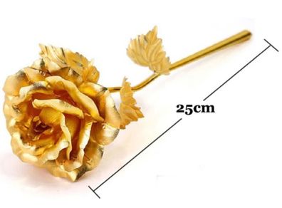 24k Gold Rose