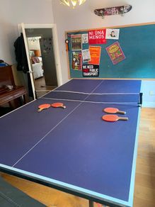 Table tennis table- fold-up 154x276cm, net, bats