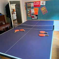 Table tennis table- fold-up 154x276cm, net, bats