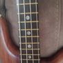 1990 Warwick Streamer Stage 2 Image 7