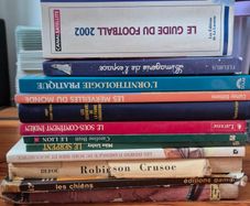 Vintage French Books & Football Memorabilia Lot