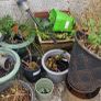 garden clear out Image 7