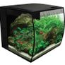 fish Image 2