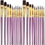 20 PCS Nylon Hair Paint Brushes Set for Acrylic Oil Watercolor Gouache Painting Face Paint Brushes for Children and Adults Image 3