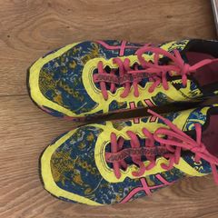 Oasics trainers size EU40