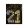 Birthday Decoration Package - Sequin Wall & Lights Image 4