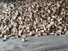 Firewood Hardwood Ash Image 4