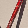 walking stick Image 2