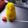 peeps chick soft toy Image 5