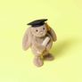 Bashful Bunny Graduation Outfit Jellycat BNWT Image 2