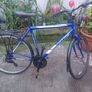 Mens Trekking bike Image 6