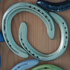 Lucky Decorated Irish horseshoes Twin pack