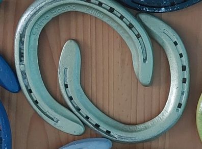 Lucky Decorated Irish horseshoes Twin pack