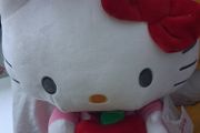 hello kitty large teddy