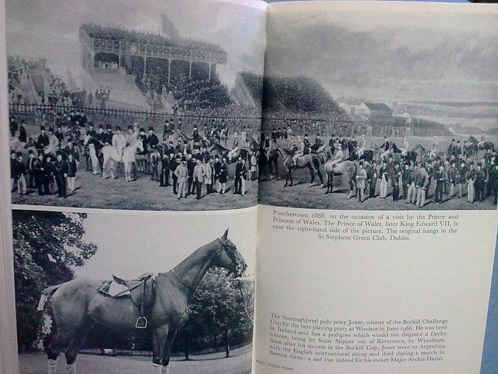 The horse in Ireland