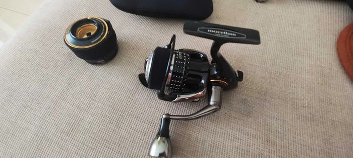 Daiwa Moretham Branzino 3000