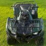 Yamaha Grizzly Image 5