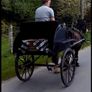 Horse Cart Image 2