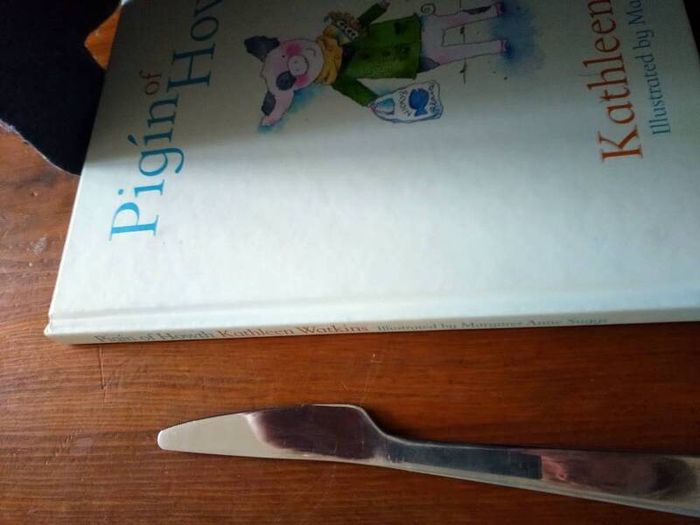 Pigin of Howth by Kathleen Watkins , hardback