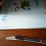 Pigin of Howth by Kathleen Watkins , hardback Image 3