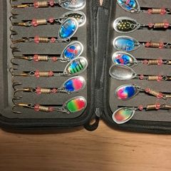 16 Spinners