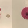 Dish Brush & Sink Plug Image 2