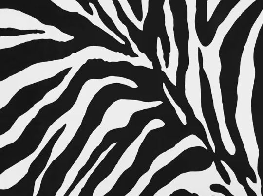 Black and White Area Rugs Living-Room - Non Slip, Abstract Rug, Easy Care Low Pile, 120 x 160 cm