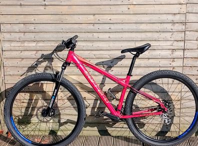 Carrera Hellcat Mountain bike