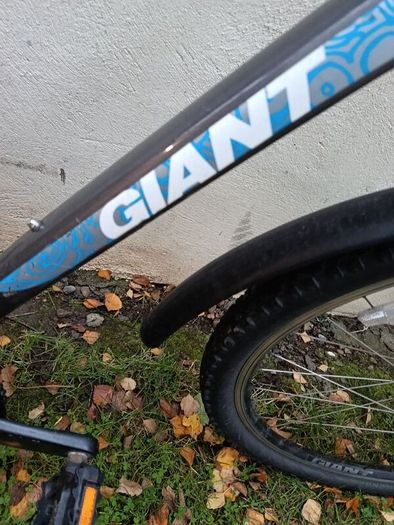Giant bike
