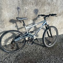adult bike