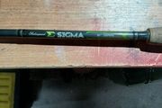 spinning rod