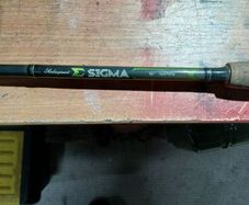 spinning rod
