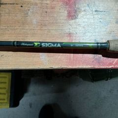 spinning rod