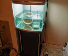 ORCA Fish Tank 60ltr