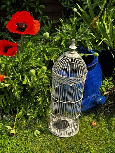 Bird Cage