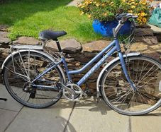Ridgeback Speed Ladies Bike