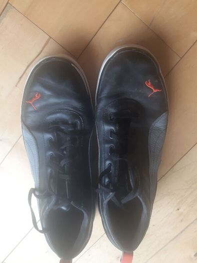 gucci gg 2564 s