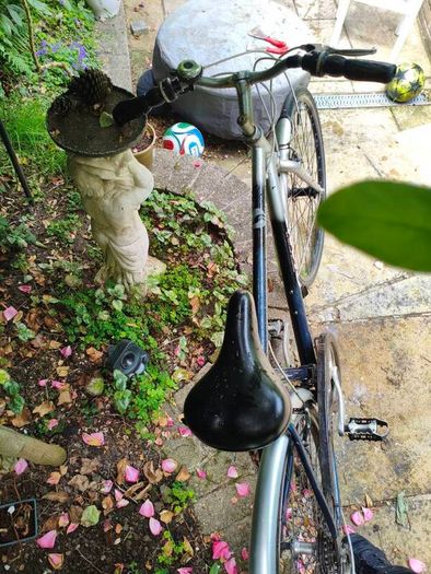 Giant Expression Hybrid Bicycle, fully working