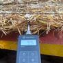 Straw delivered Image 2