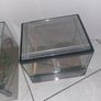 2 x terrariums Image 9