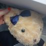 Girl Teddy Image 5