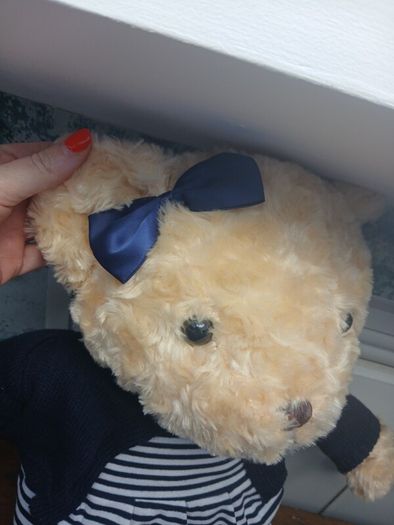Girl Teddy