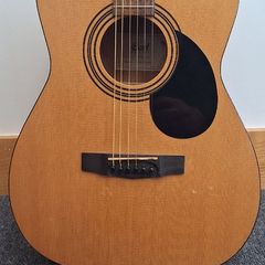 Acoustic Guitar Cort AF510 OP