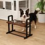 Raised Dog Bowls with Stand, 4 Heights Adjustable Pet Feeder with 3 Adjustable Angles for Small, Medium & Large Breeds, Brown Image 2