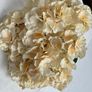 Large Bouquet Hydrangeas Image 3