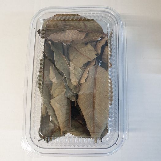 Jack,Maple,Guave,Walnut,Mulberry Leaves ect... 1000ml
