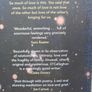 We are not in the World, Conor O' Callaghan,Paperback book, Fiction,book Image 2