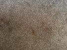 Cleaning Professional Carpet & Upholstery Cleaning - 10% OFF Image 7
