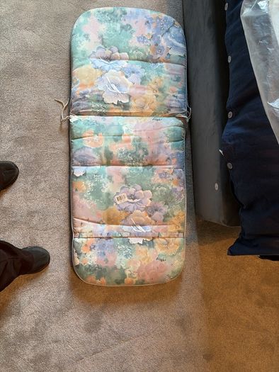 2 Garden Cushions Free , Dublin 4  Collection