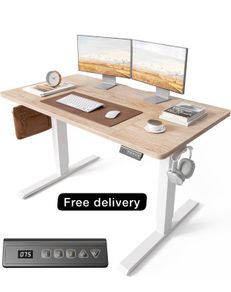 120 x 60cm Sit Stand Electric Home Office Desk with Memory Smart Pannel